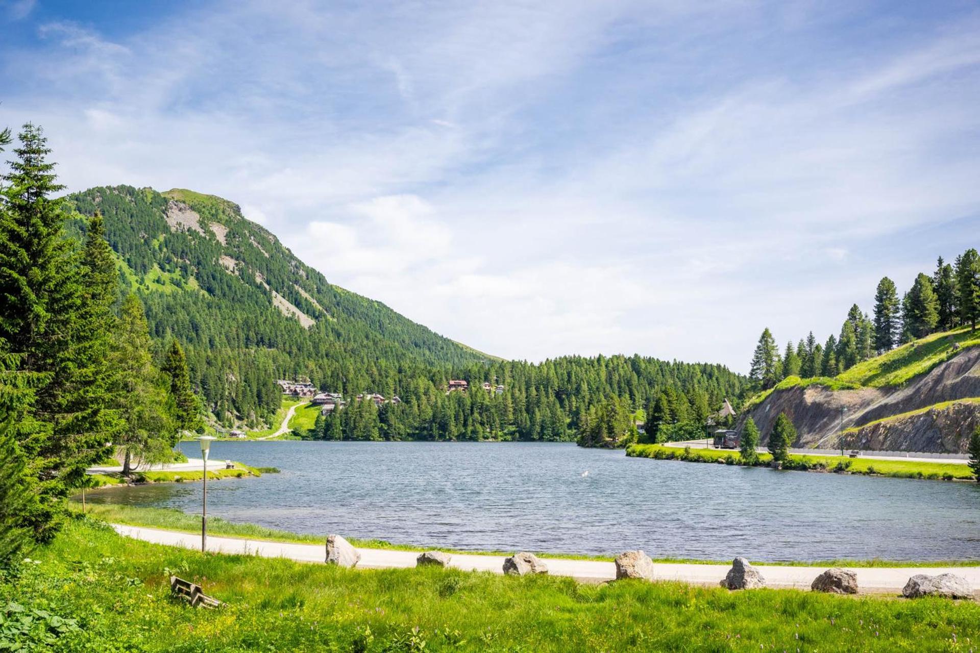Alpin Peaks Hotel Turracher Hoehe Ngoại thất bức ảnh